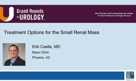 Treatment Options for the Small Renal Mass