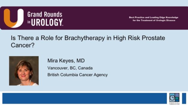 Is There a Role for Brachytherapy in High Risk Prostate Cancer?