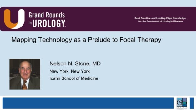 Mapping Technology as a Prelude to Focal Therapy