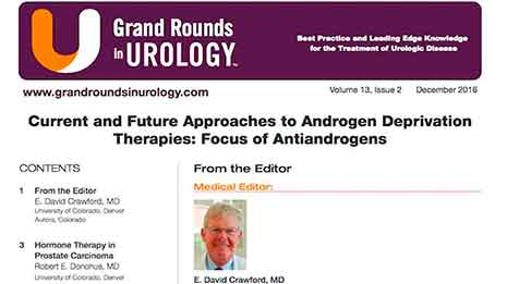 Current and Future Approaches to Androgen Deprivation Therapies: Focus of Antiandrogens