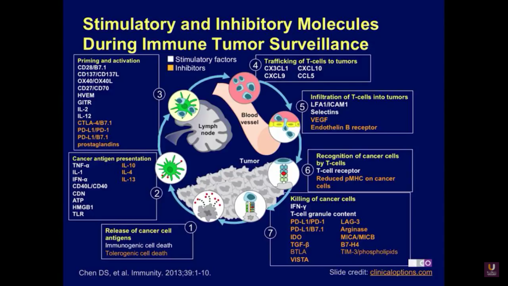 Dr. Daniel P. Petrylak Checkpoint Inhibitors Bladder