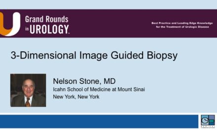 3-Dimensional Image Guided Biopsy