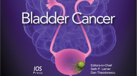 Disparities in Use of Continent Urinary Diversions after Radical Cystectomy