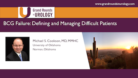 Difficult Issues in Non Muscle Invasive Bladder Cancer