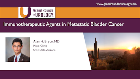 Immunotherapeutic Agents in Metastatic Bladder Cancer