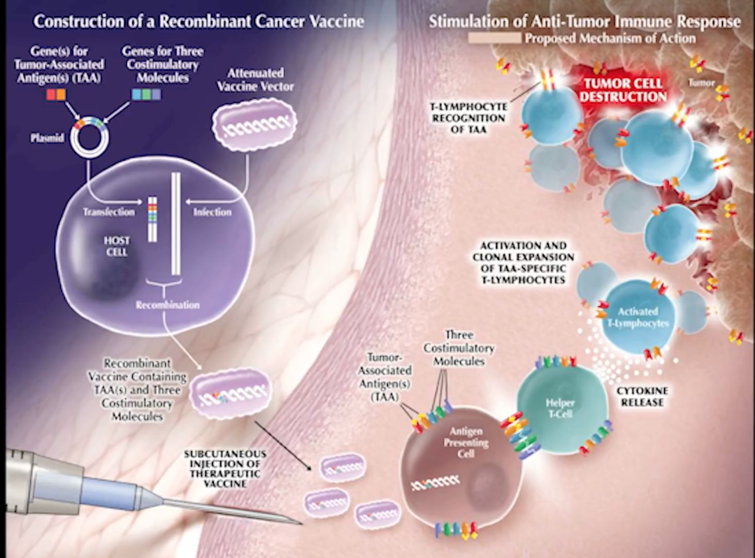 Immunotherapy for Prostate Cancer Grand Rounds in Urology