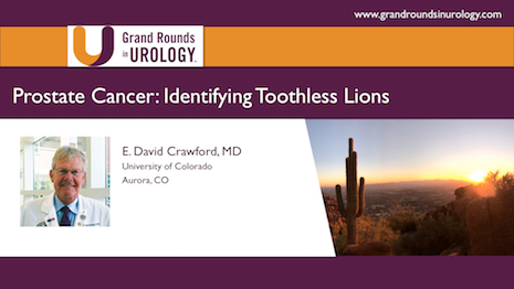 Identifying the Toothless Lions in Prostate Cancer