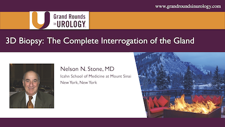3D Biopsy – The Complete Interrogation of the Gland