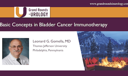 Basic Concepts in Bladder Cancer Immunotherapy