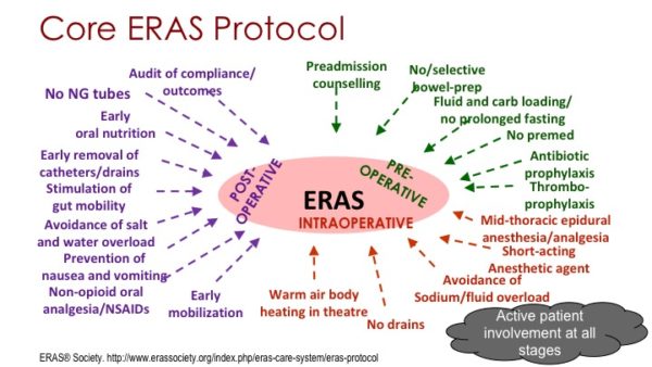 Dr. Peter Black | Perioperative Pathways | What We Know Works | ERAS