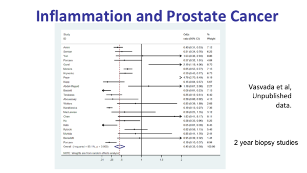 Prostate Inflammation and Prostate Cancer | What do I need to know?