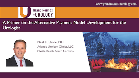 A Primer on Alternative Payment Models: The Need for a Urology APM