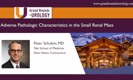 Adverse Pathologic Characteristics in the Small Renal Mass