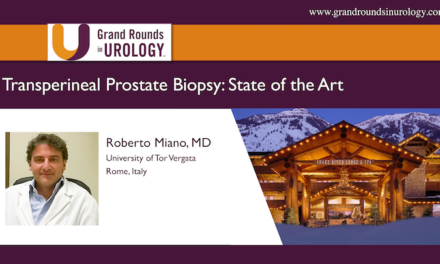 Transperineal Prostate Biopsy: State of the Art