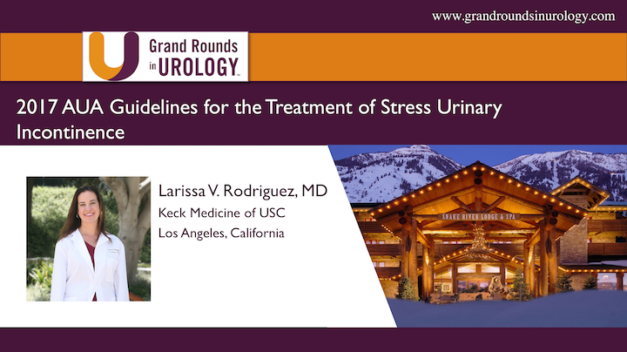 2017 AUA Guidelines for the Treatment of Stress Urinary Incontinence