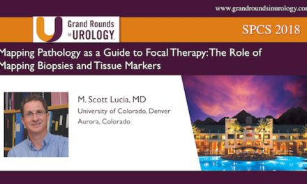 Mapping Pathology as a Guide to Focal Therapy: The Role of Mapping Biopsies and Tissue Markers