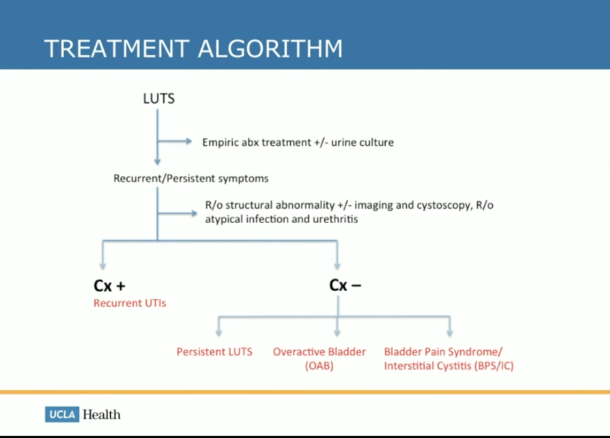 guideline-of-guidelines-management-of-recurrent-urinary-tract