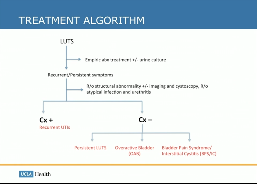 Management Of Recurrent Uti In Era Of Antimicrobial Resistance