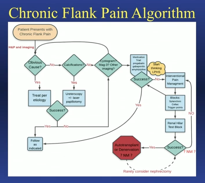 Principle of management of rt flank pain