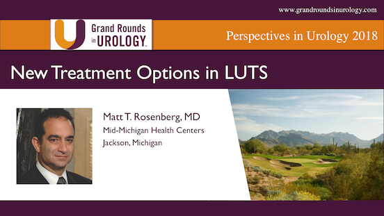 New Treatment Options in LUTS
