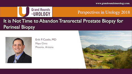 It is Not Time to Abandon Transrectal Prostate Biopsy for Perineal Biopsy