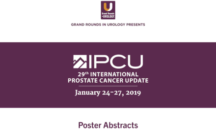 29th International Prostate Cancer Update Poster Abstracts and Presentations
