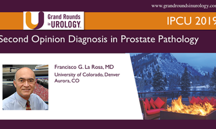 Second Opinion Diagnosis in Prostate Pathology