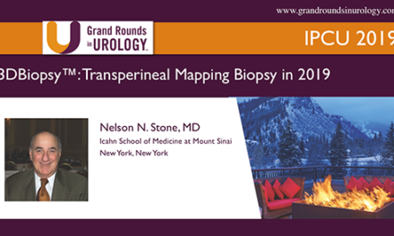 3DBiopsy™: Transperineal Mapping Biopsy in 2019