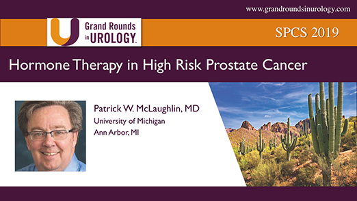 Hormone Therapy in High Risk Prostate Cancer