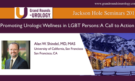 Promoting Urologic Wellness in LGBT Persons: A Call to Action