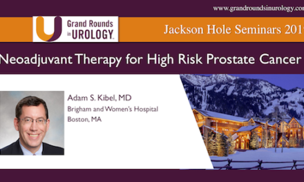 Neoadjuvant Therapy for High-Risk Prostate Cancer