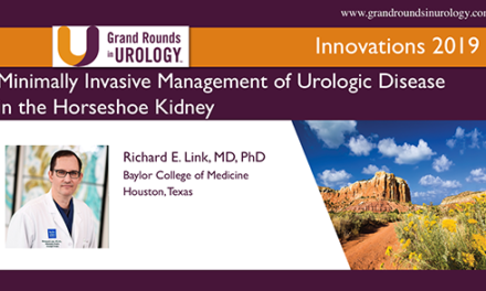Minimally Invasive Management of Urologic Disease in the Horseshoe Kidney