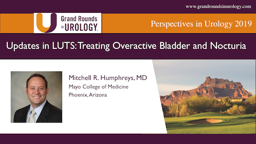 Updates in LUTS: Treating Overactive Bladder and Nocturia