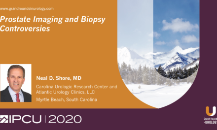 Prostate Imaging and Biopsy Controversies