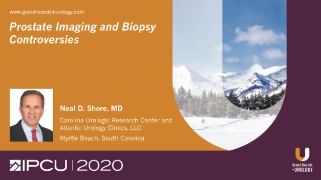 Prostate Imaging and Biopsy Controversies