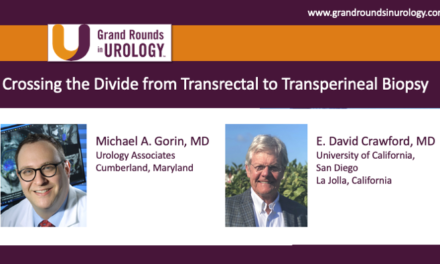 Crossing the Divide from Transrectal to Transperineal Biopsy