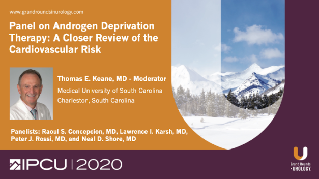 Panel on Androgen Deprivation Therapy: A Closer Review of the Cardiovascular Risk