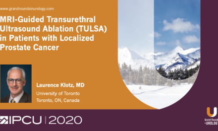 MRI-Guided Transurethral Ultrasound Ablation (TULSA) in Patients with Localized Prostate Cancer