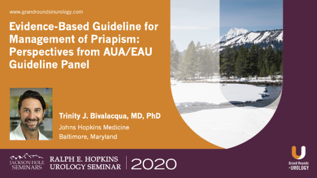 Evidence-Based Guideline for Management of Priapism: Perspectives from AUA/EAU Guideline Panel