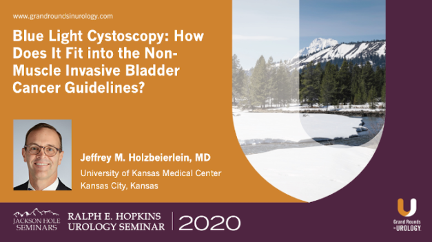 Blue Light Cystoscopy: How Does It Fit into the Non-Muscle Invasive Bladder Cancer Guidelines?