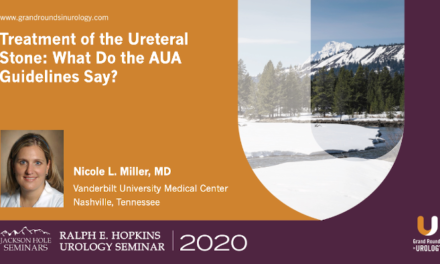 Treatment of the Ureteral Stone: What Do the AUA Guidelines Say?