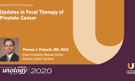 Updates in Focal Therapy of Prostate Cancer