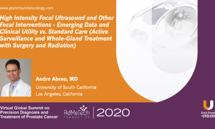 HIFU Focal Therapy: Prostate Cancer – Emerging Data and Clinical Utility vs. Standard Care