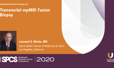 Transrectal mpMRI Fusion Biopsy