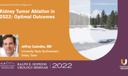 Kidney Tumor Ablation in 2022: Optimal Outcomes