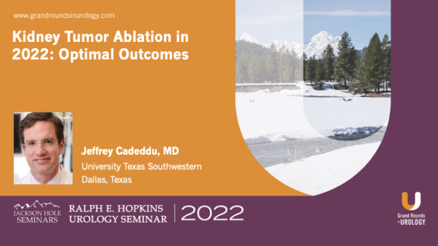 Kidney Tumor Ablation in 2022: Optimal Outcomes