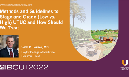 Methods and Guidelines to Stage and Grade (Low vs. High) UTUC and How Should We Treat