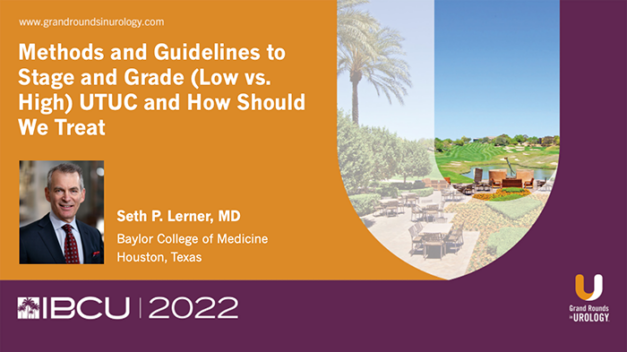 Methods and Guidelines to Stage and Grade (Low vs. High) UTUC and How Should We Treat