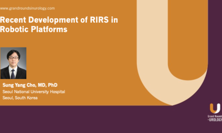 Recent Development of RIRS in Robotic Platforms