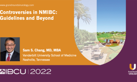 Controversies in NMIBC: Guidelines and Beyond